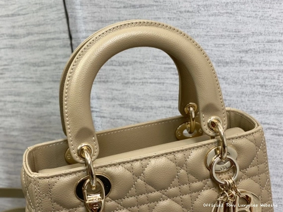 Tony Luxuries Gold Calfskin-24cm diro large Lady 0729